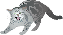 Illustration of Felis catus (Cat) : feral