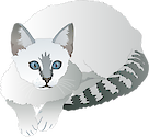 Illustration of Felis catus (Cat) : domestic