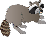 Illustration of Procyon lotor (Raccoon)