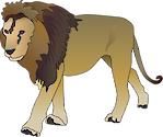 Illustration of Panthera leo (Lion) male