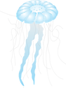 Illustration of a jellyfish
