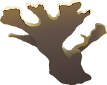 Illustration of Acropora palmata (Elkhorn Coral)