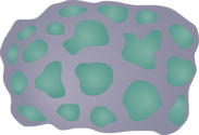 Illustration of Montastrea spp. (Brain Coral)