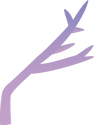 Illustration of an Acropora spp. fragment