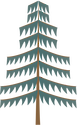 Illustration of Pinus spp. (Pine)