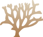 Illustration of a branching coral