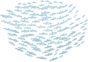Illustration of a fish school