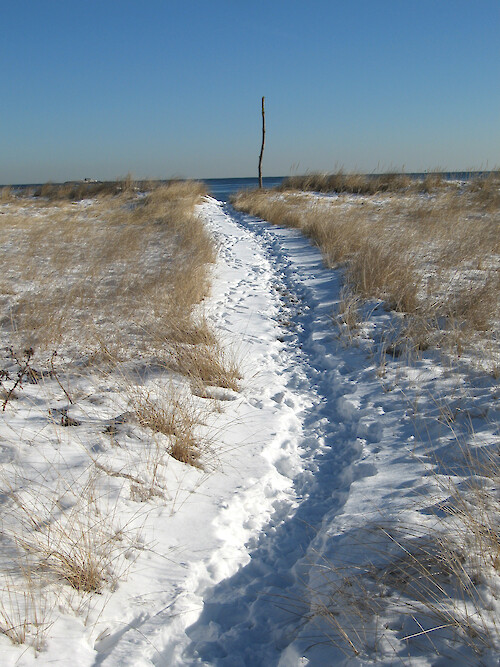 Trail leading to Hills Beach, Biddeford Maine.