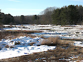 Views of the Rachel Carson National Wildlife Refuge from Route 9 south of Kennebunkport.
