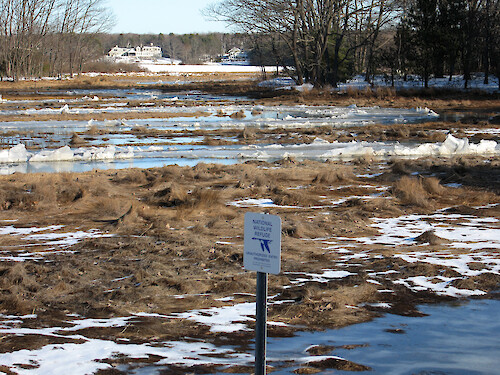 Views of the Rachel Carson National Wildlife Refuge from Route 9 south of Kennebunkport.