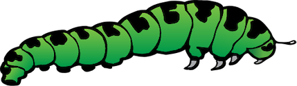 Illustration of caterpillar