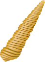 Illustration of Bittium spp.