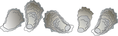 Illustration of oyster 2D reef