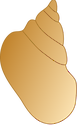 Illustration of snail