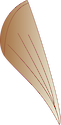 Illustration of razor clam