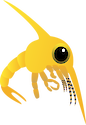 Illustration of a crab zoea