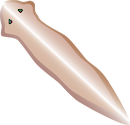 Illustration of flatworm