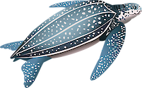 Illustration of a Leatherback turtle