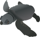 Illustration of Lepidochelys kempii (Kemp's Ridley Turtle) hatchling