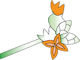 Illustration of Avicennia marina (Grey Mangrove) flower