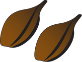 Illustration of Cymodocea serrulata seeds