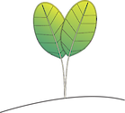 Illustration of Halophila minor 2