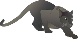 Illustration of Panthera pardus (Panther)