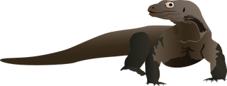 Illustration of Varanus komodoensis (Komodo Dragon)