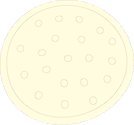 Illustration of a centric diatom
