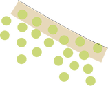 Illustration of a type of benthic microalgae