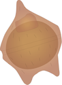 Illustration of a dinoflagellate cyst