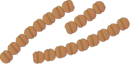 Illustration of Gymnodinium catenatum