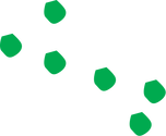 Illustration of a Phytoplankton blooom
