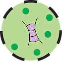 An illustration indicating an intermittent concentration of phytoplankton