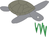 Illustration of grazing using a turtle for example