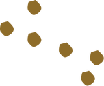 Illustration of sediment suspension
