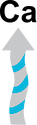 Illustration of outgoing calcium