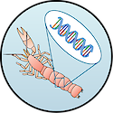 Illustration of bioindicators sign