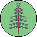 Illustration of forestry management