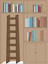 Illustration of bookcase with ladder