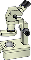 Illustration of compound microscope
