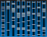 Illustration of DNA sequencing gel