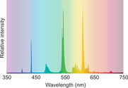 Illustration of fluorescent light spectra