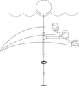 Illustration of macroalgal incubation setup