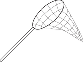 Illustration of net