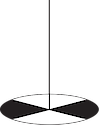 Illustration of secchi disk