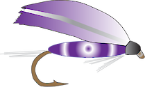 Illustration of fly fishing lure