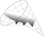 Illustration of fin fisheries