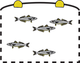 Illustration of fish cage underwater view