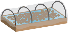 Illustration of hard clam aquaculture pen